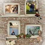 Ina Sam Storch - Instagram Profile Picture of Ina Sam Storch (@inasamstorch) on Instagram