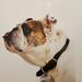 Profile Picture of Mary Algiers (@malgiers) on Pinterest
