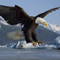 Profile Picture of Colby Newton (@colby-newton-9) on Quora