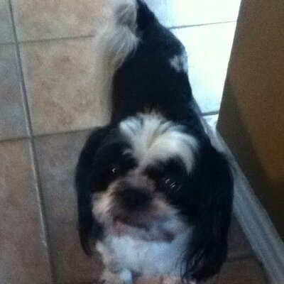 Profile Picture of Aaron Krupp (@GuyGuyGuy123321) on Twitter
