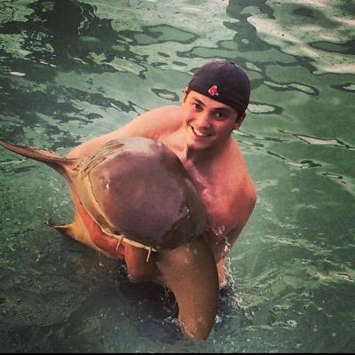 Profile Picture of David Wiesenberg (@davidwiesenberg) on Twitter