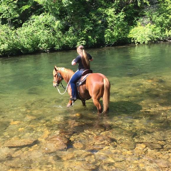 Lexy Slaughter - Poshmark Profile Picture of Lexy Slaughter (@lexx712) on Poshmark