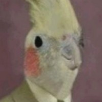 Profile Picture of Lucas Perkins (@lucas-perkins-9) on Quora