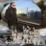 Dávid Tamás - Instagram Profile Picture of Dávid Tamás (@david.tamas.560) on Instagram