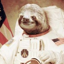 Profile Picture of Dick Chocolate (@NorrisJadd) on Twitter