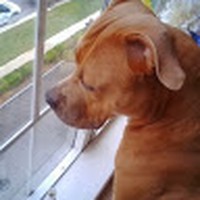 Profile Picture of Michael Provenza (@michael-provenza-1) on Quora