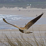 Profile Picture of Terry Phillips (@Terry Phillips / Selective Imaging) on Flickr