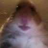 Profile Picture of Andrea Di Giorgio (@@andr3abl4ck) on Tiktok