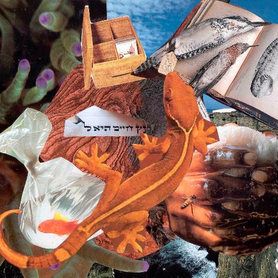 Profile Picture of Sara Promislow (@spromislow) on Twitter