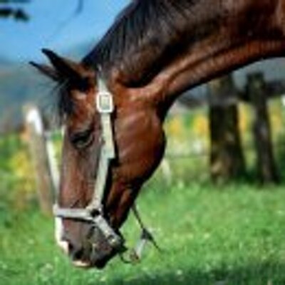 Profile Picture of Kim Middleton (@K1middleton) on Twitter
