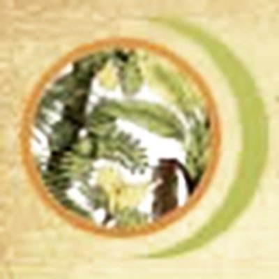 Profile Picture of EplerWood International (@EplerWood) on Twitter