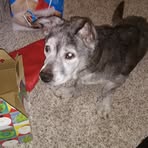 Profile Picture of Brian Troxell (@brian.troxell.9) on Facebook