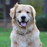 Profile Picture of Derrick Danger Miles (@derrick.miles.54) on Instagram