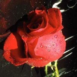 Profile Picture of Vikram Chaudhary (@V9536199871) on Twitter