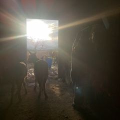 Profile Picture of Danielle Crawn (@daniellecrawn) on Tiktok