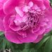 Profile Picture of Cathy Baum (@cathy.baum.946) on Facebook