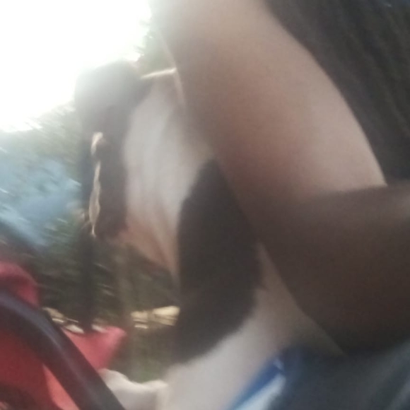 Profile Picture of Arthur Fleming jr. (@poppyray475) on Poshmark