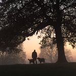 Profile Picture of Jeanette Rice (@jeanetterice69) on Instagram