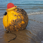 Profile Picture of Paolo Disanto (@paolo d' isanto) on Flickr