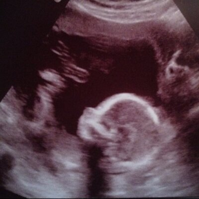 Profile Picture of Vince Barone (@vince_barone) on Twitter