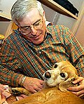 Profile Picture of David Soren (archaeologist)on Wikipedia