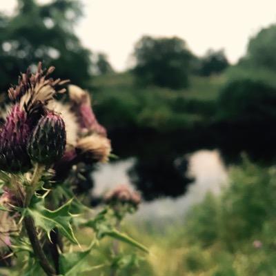 Profile Picture of Barry Mckay (@BarryMckay6) on Twitter