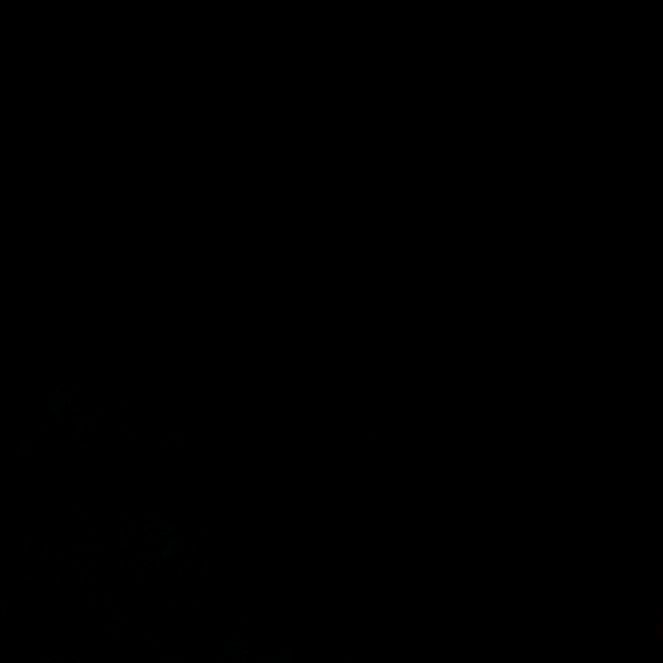 Profile Picture of Paul Meier (@paulmeier11) on Tiktok