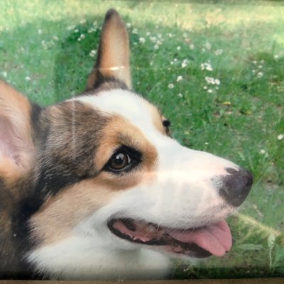 Profile Picture of Maeda (@andy_maeda) on Twitter