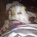 Profile Picture of Dee Frame (@dframe6878) on Pinterest
