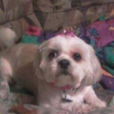 Profile Picture of Carol Hagan (@@stormybreeze63) on Twitter