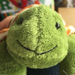 Profile Picture of johnathan herbert atomkee (@johnathan.the.turtle) on Instagram