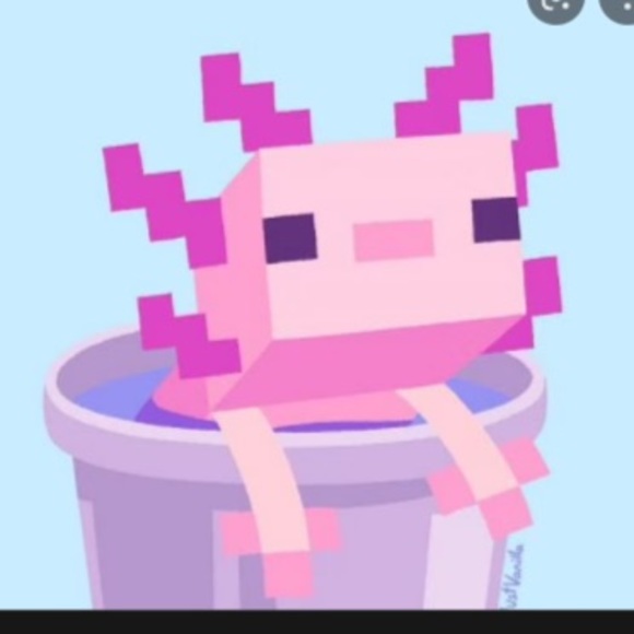 Profile Picture of Ahmed El-ahmed (@aelah3) on Poshmark