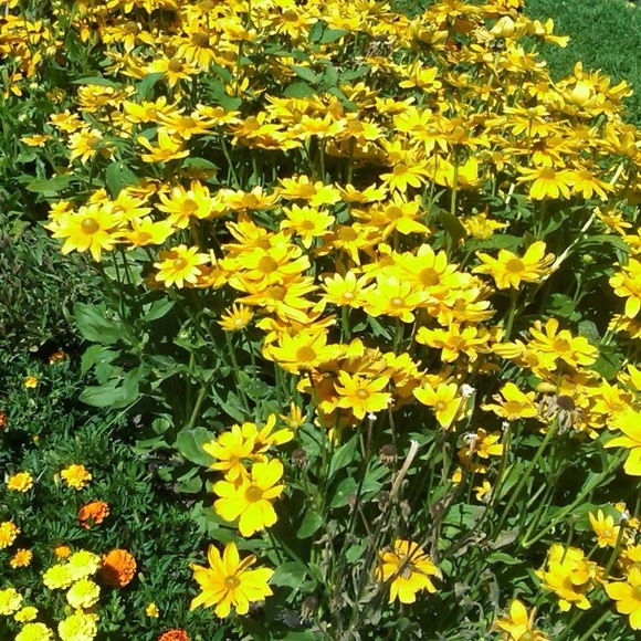 Profile Picture of Catherine Stepinski (@cate310s) on Poshmark