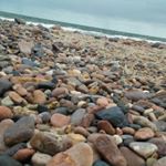 selene cisneros - Instagram Profile Picture of selene cisneros (@fotografia_sele) on Instagram