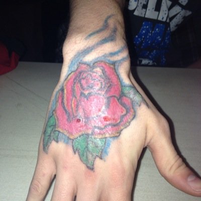 Profile Picture of Michael Simoneau (@SimoneauMichael) on Twitter