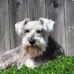 Profile Picture of Lori Koonce (@lori.koonce.7) on Facebook