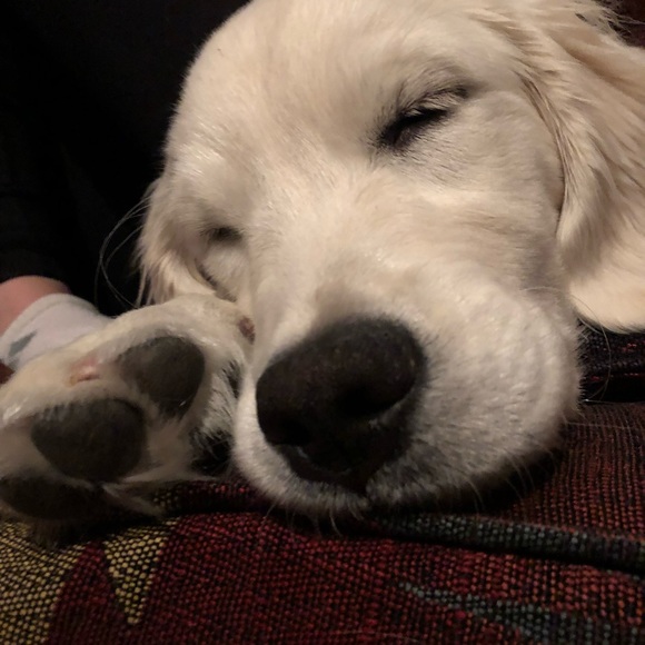 Profile Picture of Sadie Leszczynski (@sadielesz) on Poshmark