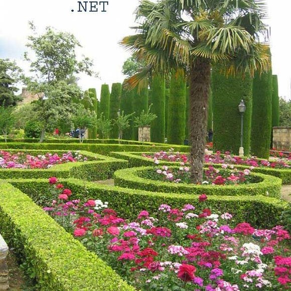 Profile Picture of Olivia Alonso (@olivia3928) on Poshmark