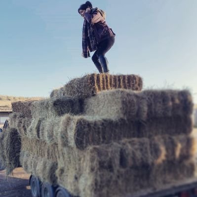 Profile Picture of Megan Dobbs (@MeganDobbs9) on Twitter