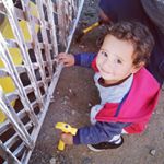 Profile Picture of Benjamin Zuñiga Ogas (@benjamin_zuniga_ogas) on Instagram