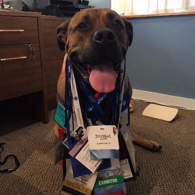 Profile Picture of Joshua Peach (@JoshPeachSpeaks) on Twitter