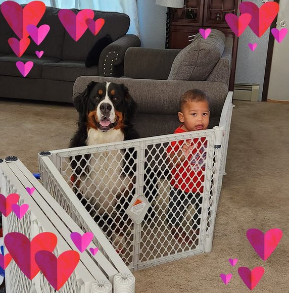 Profile Picture of Pattie Stusse (@pjcrazie42) on Poshmark