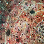 Profile Picture of ken derby moore (@beyondken) on Flickr