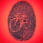 Profile Picture of David Kochanowski (@kochanowskidavid) on Instagram