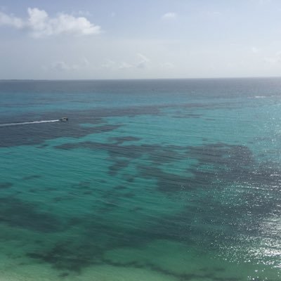 Profile Picture of Icky_Blitz (@DehayJames) on Twitter