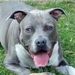 Profile Picture of Larisa Reilly Thomas (@larisajoy) on Pinterest