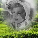 Profile Picture of Nancy Williams Sandford Lawson (@nwlawson1) on Instagram