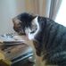 Profile Picture of Jessie Alson (@Jessie-Alson) on Facebook