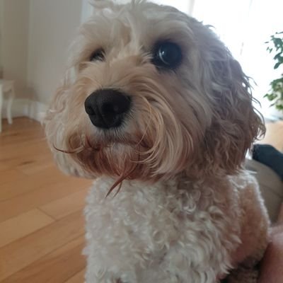 Profile Picture of Brian Forde (@BrianFo50614922) on Twitter
