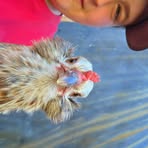 Profile Picture of Isaac Stevenson (@isaac.stevenson.192226) on Facebook